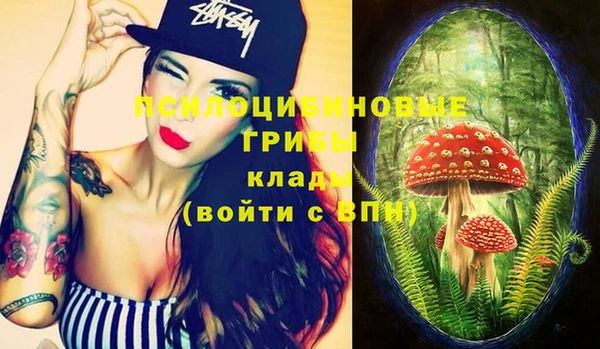 прущая мука Лабытнанги