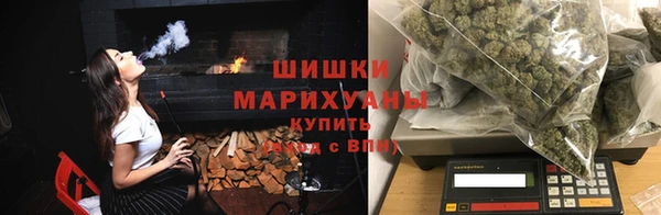 сатива Кулебаки