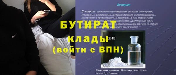 сатива Кулебаки