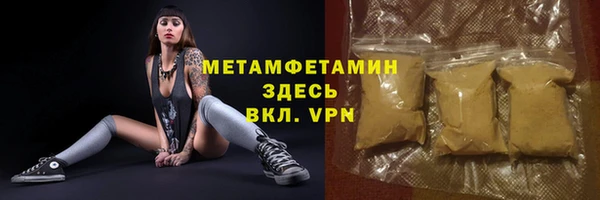 сатива Кулебаки