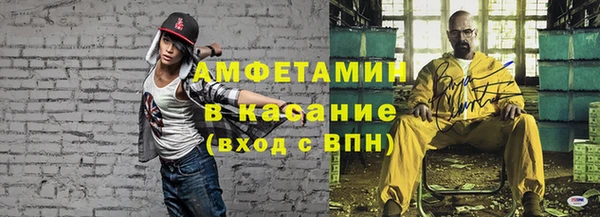сатива Кулебаки