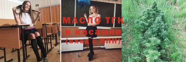 сатива Кулебаки