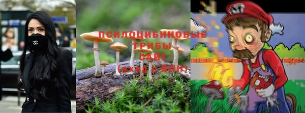 сатива Кулебаки