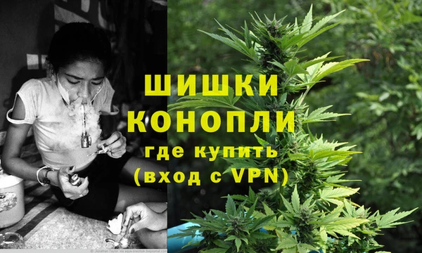 сатива Кулебаки
